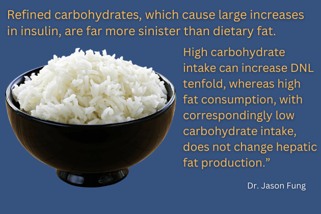 Dr. Jason Fung quote about refined carbohydrates and insulin relationship