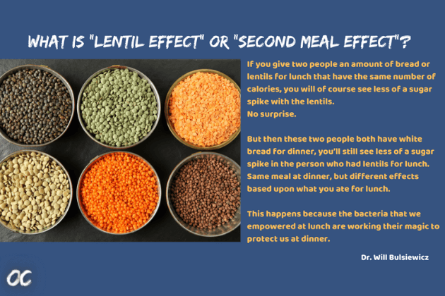 Second Meal Effect. Lentil Effect. Dr. will bulsiewicz quote