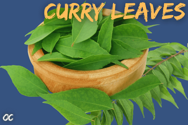 Low blood sugar curry leaves. Diabetes curry plant. Curry leaves