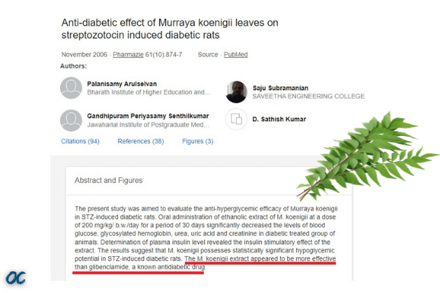 Curry diabetes 2. Curry leaves benefits. Murraya koenigii study. Curry leaves medicinal uses