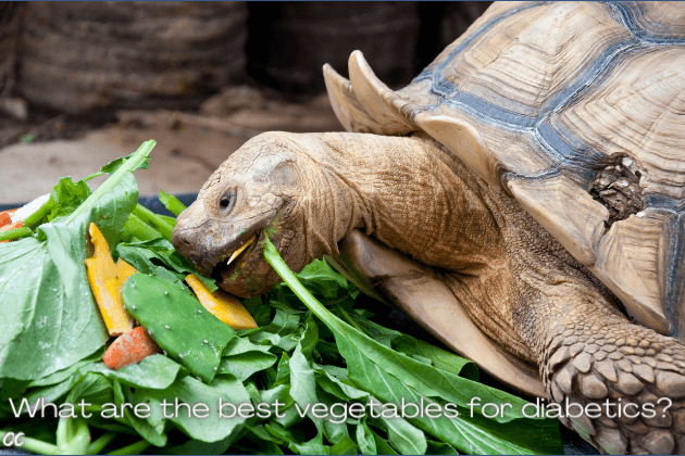 Green vegetables blood sugar. Turtle eating vegetables. vegetables diabetes can eat