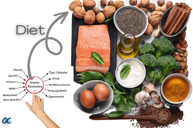 Insulin resistance diet. A diet to prevent or control insulin resistance. Diabetesdiet. Causes and effects of Insulin resistance.