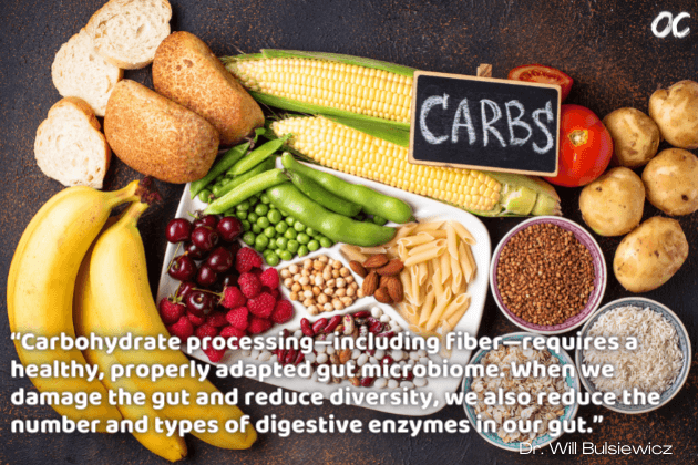 Fiber Fuelled book quote. Fiber processing requires a healthy well adapted gut microbiome