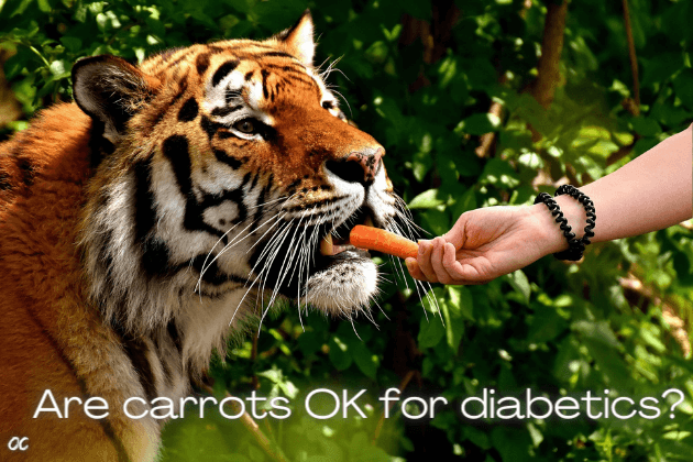 diabetes carrot cake. Blood sugar carrot soup. Blood glucose carrots raw