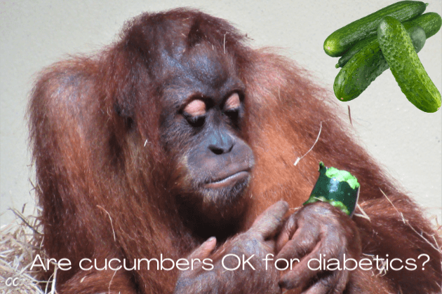 Are cucumbers OK for diabetics. Cucumber diabetes type 2. bitter cucumber diabetes