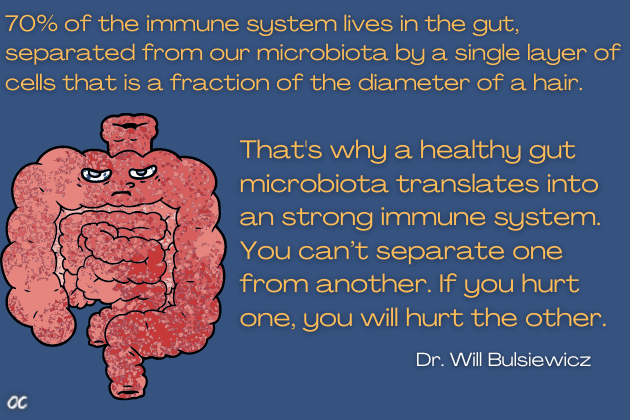 Dr. Will Bulsiewicz quote about immune system and its relationship with gut microbiome. Fiber Fuelled