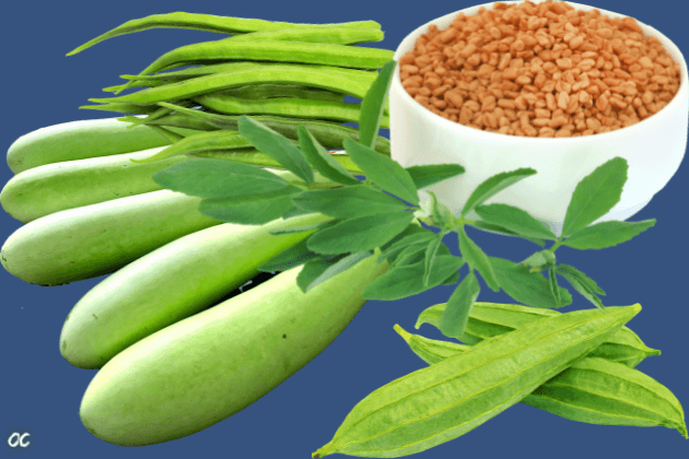 diabetes karela juice. karela blood sugar. fenugreek seeds blood glucose. methi seeds blood sugar