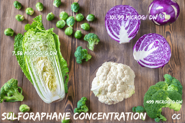 sulforaphane concentration in various vegetables. sulforaphane amounts in vegetables what vegetable has the most sulforaphane