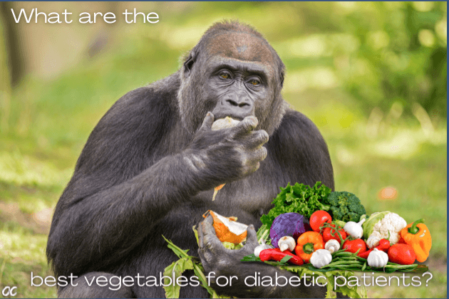 Best vegetables for diabetic patients vegetables lower blood sugar. vegetables stabilize blood sugar