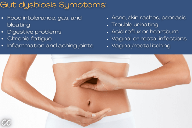 Symptoms of gut problems. Symptoms of gut dysbiosis include food intolerance, gas, and bloating, and other digestive problems.