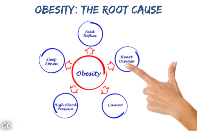 Obesity leads to diabetes. obesity leads to which disease. obesity leads to heart disease